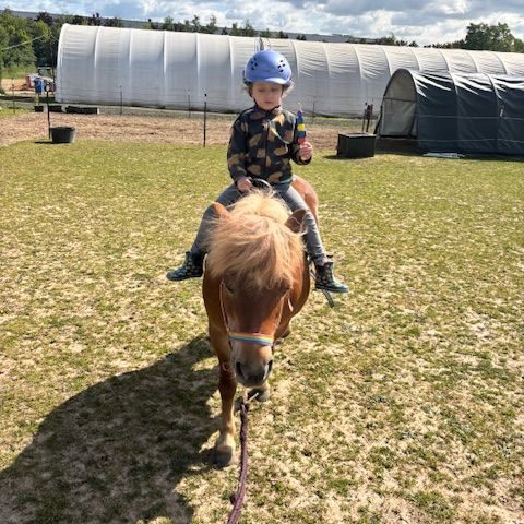 Reittherapie